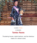 Tambo Races