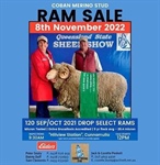 Cobar Merino Ram Sale