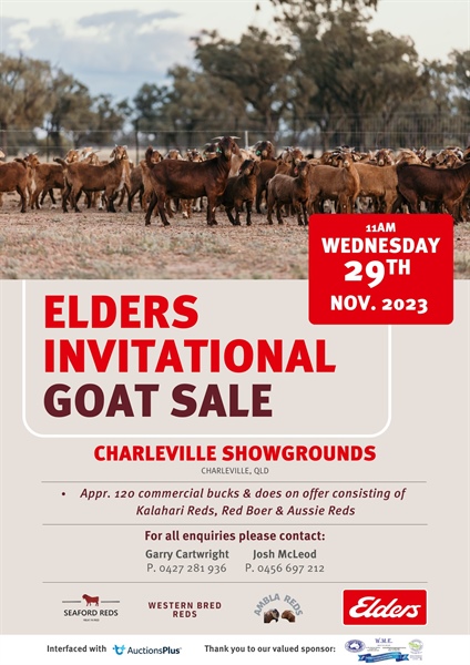 C'ville Invitational Goat Sale