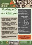 Making eID work for you
