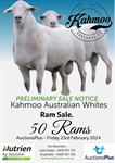 Kahmoo Ram Sale