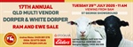 StG Dorper/WhiteDorper Ram Sale
