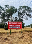 Morven Cup Races