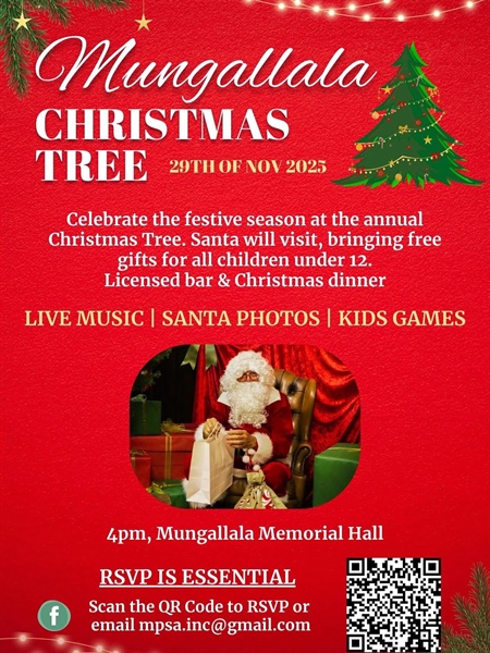 Mungallala Christmas Tree