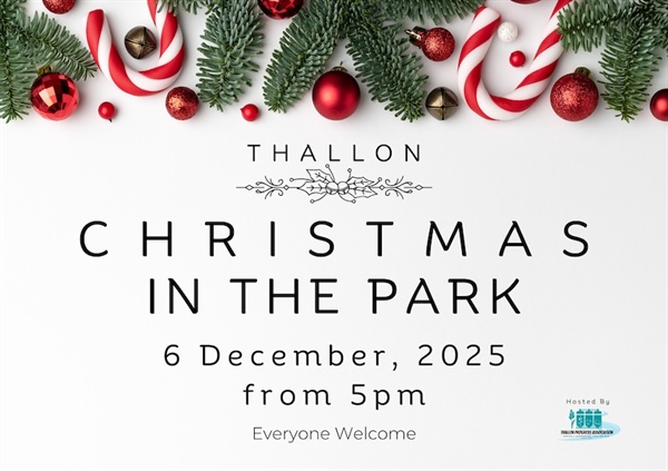 Thallon Christmas in the Park