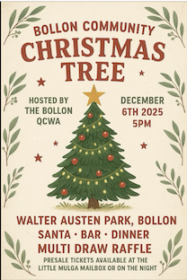 Bollon Christmas Tree