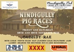 Nindigully Pig Races