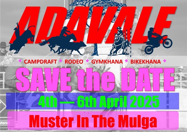 Adavale Muster in the Mulga