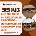 Hebel Dog School