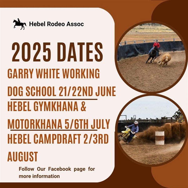 Hebel Dog School
