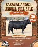 Meandarra Angus Bull Sale