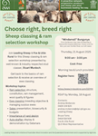 Bungunya Sheep Day