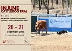 Injune Cattle Dog Trial