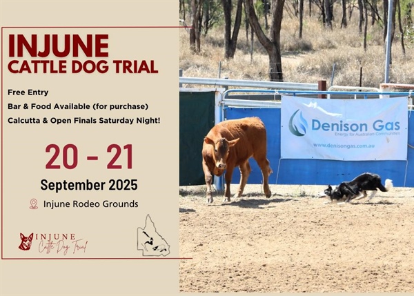 Injune Cattle Dog Trial