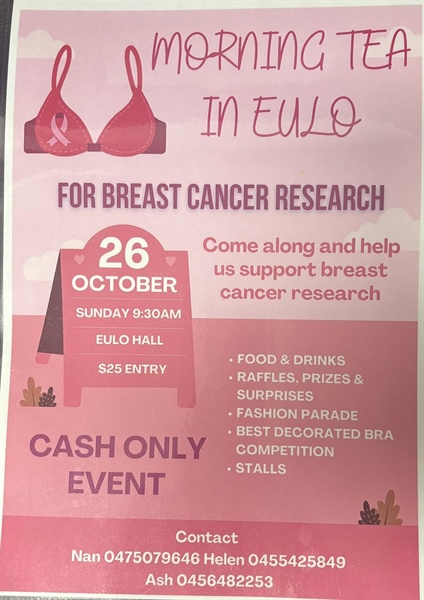 Eulo Cancer fundraiser
