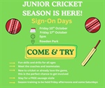 StG Jnr Cricket