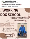 Wallumbilla Working Dogs