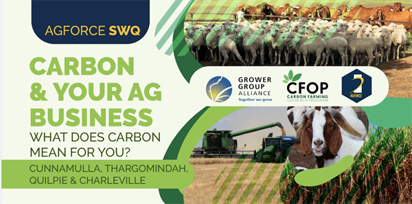 SW Carbon and Your Business