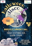 Birdsville Disco Fun