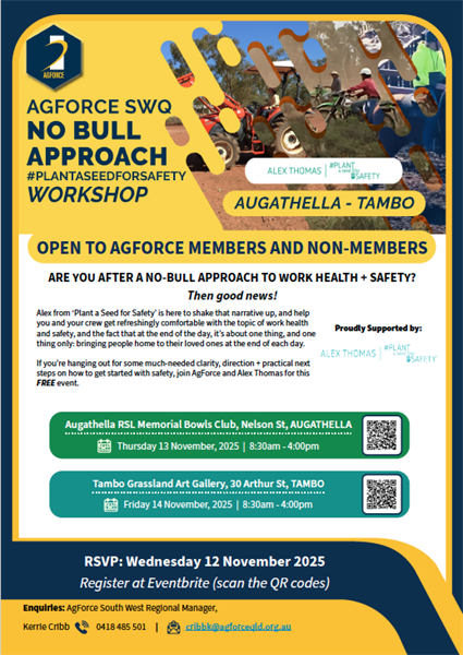 Augathella / Tambo No Bull Approach WHS