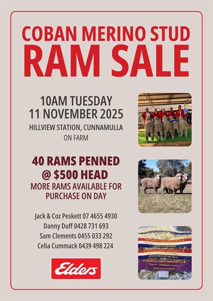 C'mulla Ram Sale