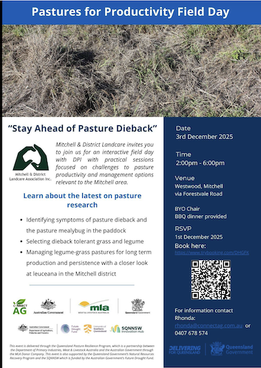 Mitchell DieBack Workshop