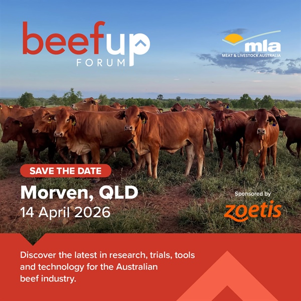 Morven Beef Up Forum