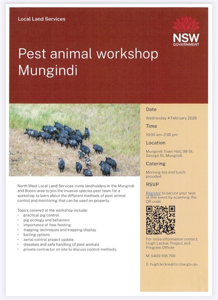 Mungindi Pest Management