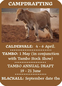 Caldervale Campdraft