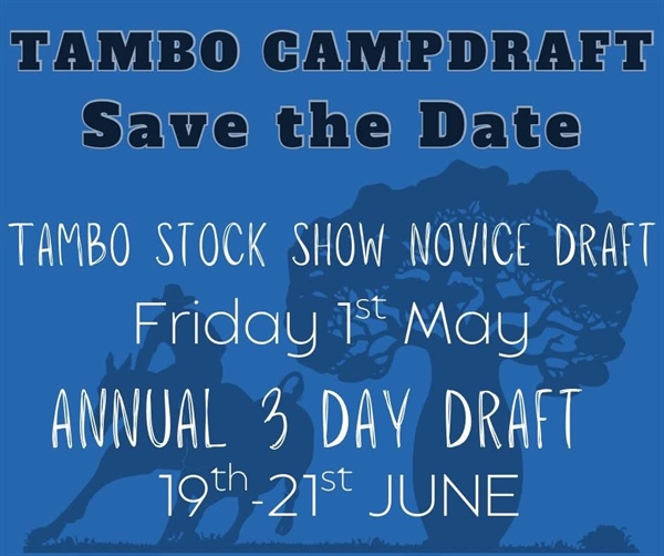 Tambo Campdraft