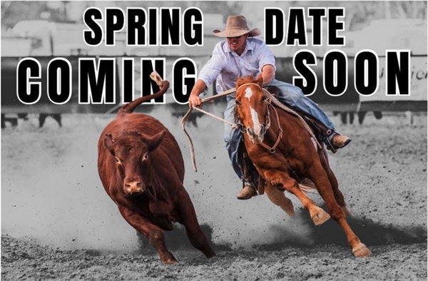 Injune Golden Bit Campdraft