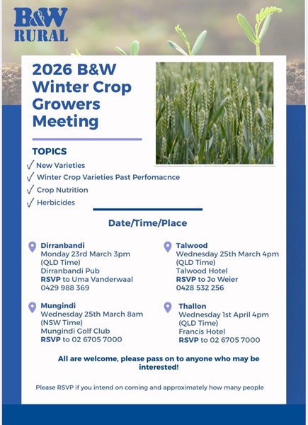 Thallon B&W Crop Updates