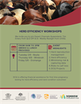 Boulia, Windorah, Eromanga Herd Efficiency