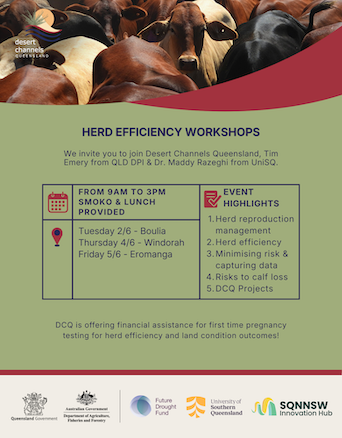 Boulia, Windorah, Eromanga Herd Efficiency