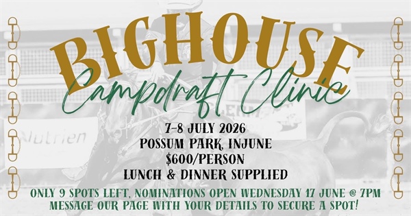Injune Campdraft Clinic
