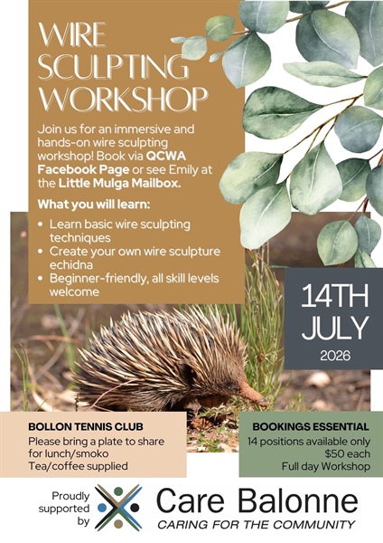 Bollon Wire Workshop