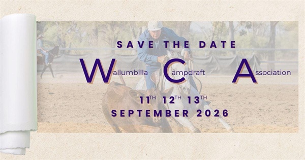 Wallumbilla Campdraft