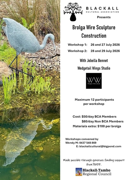 Blackall Wire Sculpture Workshop