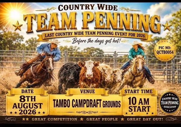 Tambo Team Penning