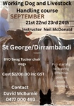 Dirranbandi Dog School